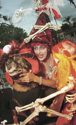 Pet Masquerade and Parade 2005 photo - Duval Street, Key West